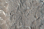 Terrain Sample