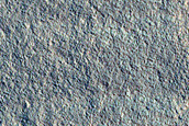 Gully Monitoring