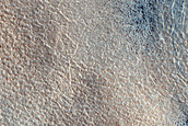 Terrain Sample