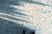 Polar Plains Dunes in Summer