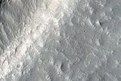Terrain Sample