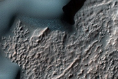 Defrosting Linear Dune Gullies near Martz Crater