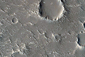 Terrain Sample