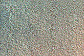 Dune Monitoring in Crater