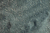 West Chasma Boreale Linear Dunes