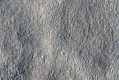 Light-Toned Mesas in Arcadia Planitia