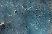 Diverse Minerals in Terra Tyrrhena Crater Ejecta