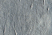 Scalloped Ejecta Margin