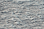 Candidate Recent Impact Site