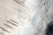 Terrain Sample