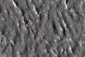 Candidate Recent Impact Site