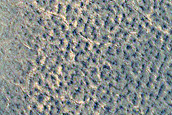 Northern Plains Monitoring