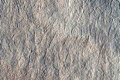 Scalloped Depression Region