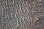 Candidate Recent Impact Site