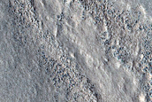 Channelized Flow in Arcadia Planitia