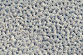 Northern Plains Monitoring