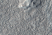 Dust Devil Survey in Amazonis Planitia