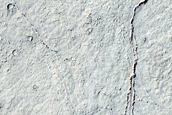 Elysium Planitia Lava Margin