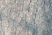 Scalloped Depressions in Utopia Planitia