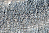 Terrain Sample on North Side of Pavonis Mons