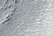 Lava Margin in Elysium Planitia
