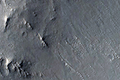 Terrain Sample