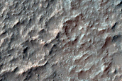 Small Fresh Impact on Wrinkle Ridge