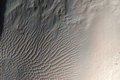 Small Gullies North of Eridania Basin