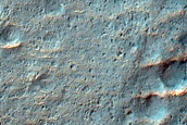 Possible Phyllosilicates in Crater Ejecta near Tyrrhenus Labyrinthus