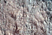 Dune Monitoring in Lyot Crater