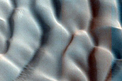 Abalos Undae Polar Crater Dunes