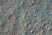 Dunes within Arkhangelsky Crater