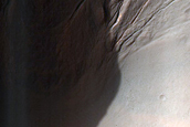Well Developed Gullies in 2km Crater