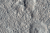 Dust Devil Monitoring in Amazonis Planitia