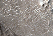 Terrain Sample in Amenthes Fossae