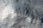 Baetis Chasma Transect