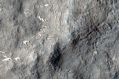 Terrain Sample