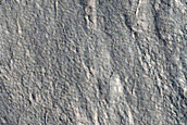 Scalloped Ejecta Margin