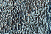 Terrain Sample