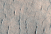 Utopia Planitia Terrain Sample
