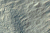 Gullies in Small Crater East of Newton Crater