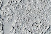 Terrain Sample
