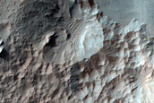 Recent Gully Activity in Gasa Crater