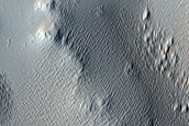 Terrain Sample in Pavonis Sulci