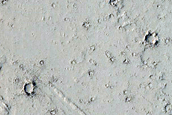 Elysium Planitia Lava