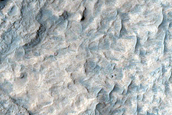 Mottled Ridged Terrain