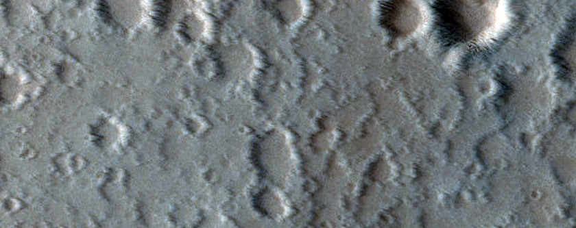 Elysium Mons Caldera