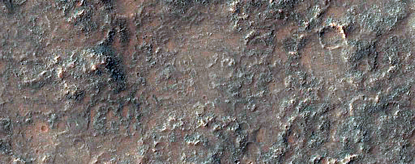 Albedo Monitoring in Solis Planum