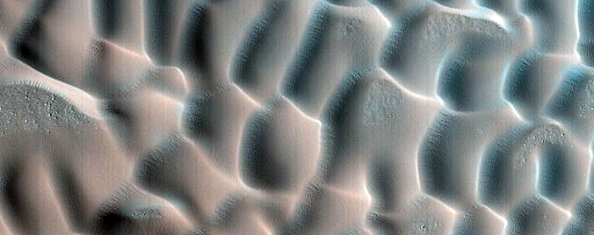 Acidalia Planitia Dune Field Monitoring