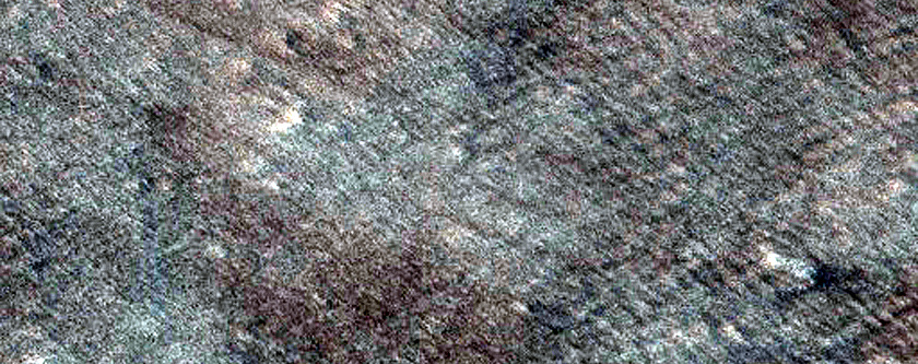 Pavonis Mons Summit Region Albedo Pattern Monitoring Site